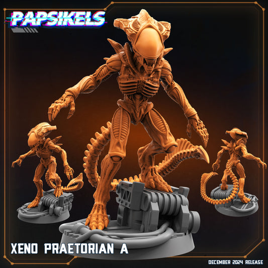 Xeno Praetorian (12 Modelos)