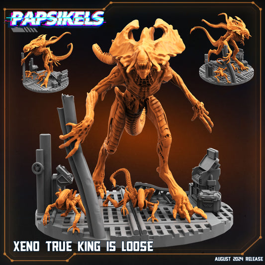 Xeno True King is Loose