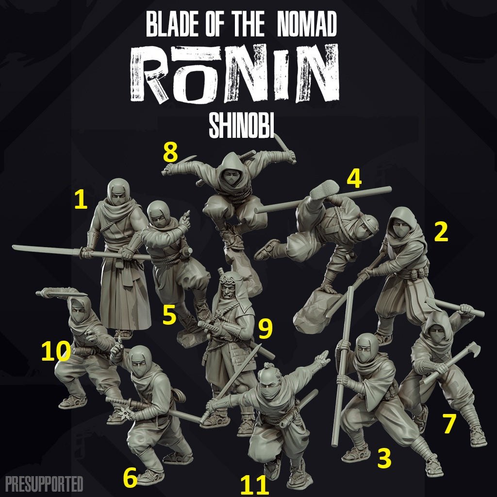Botn Ronin Shinobi