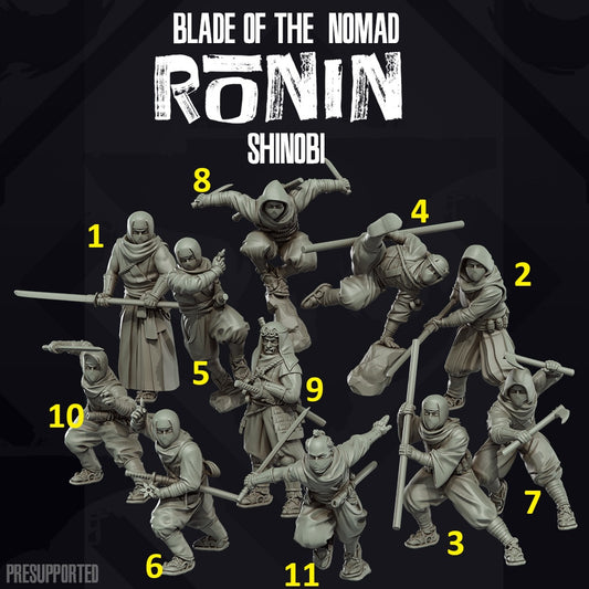 Botn Ronin Shinobi
