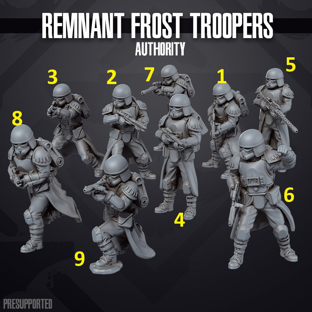 Remnant Frost Trooper