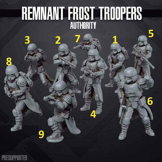 Remnant Frost Trooper