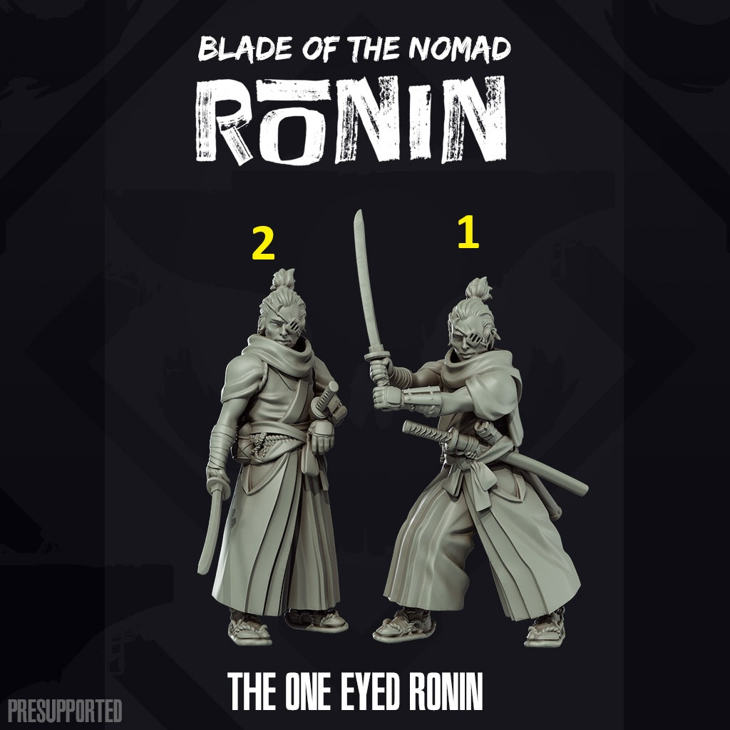 One Eyed Ronin 1