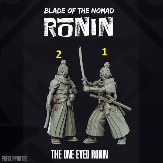 One Eyed Ronin 1