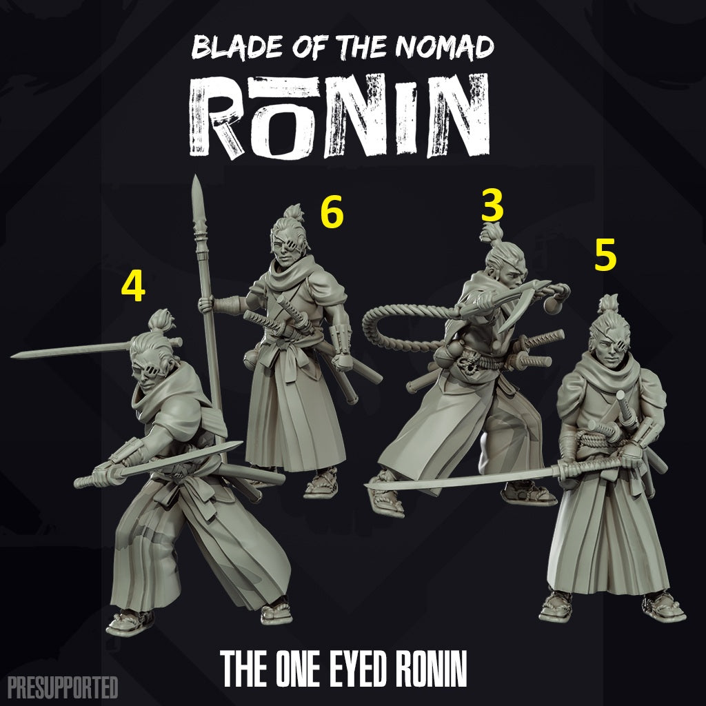 One Eyed Ronin 2