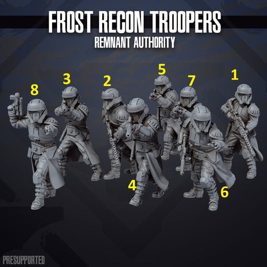 Frost Recon Troopers Remnant
