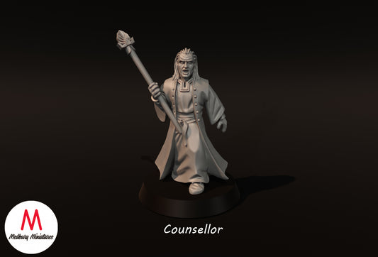 Counsellor