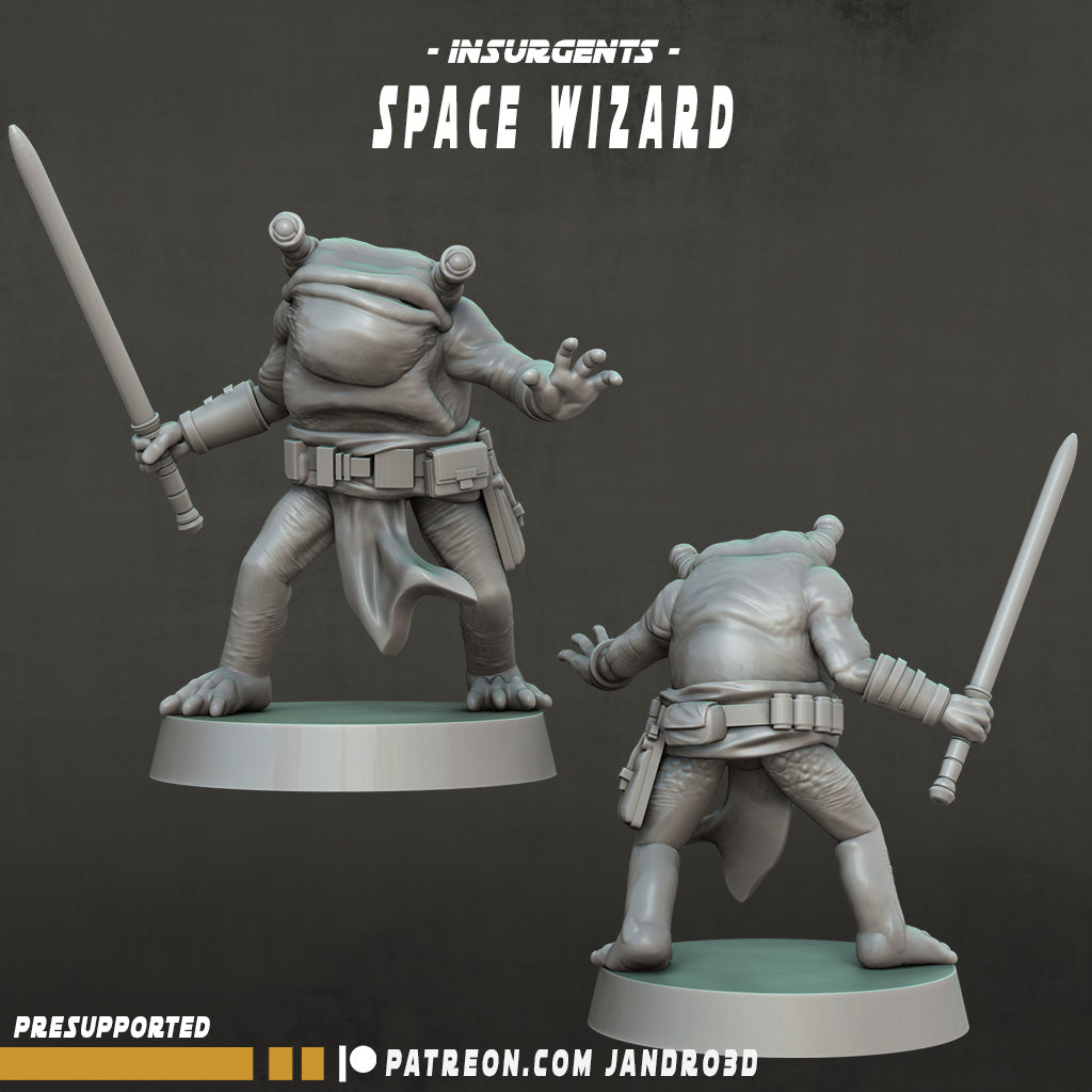 Frog - Space Wizard