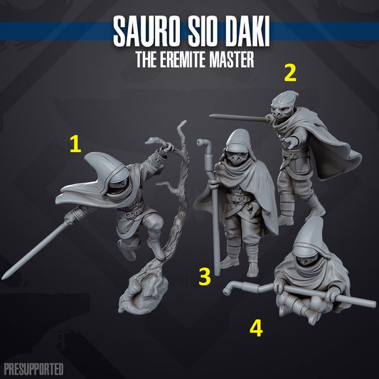 Sauro Sio Daki The Eremite Master