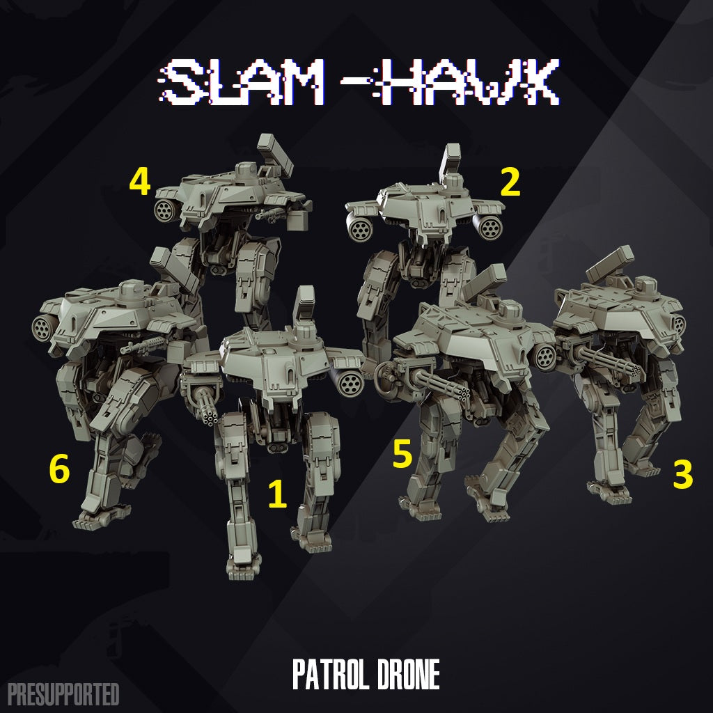 Slam Hawk