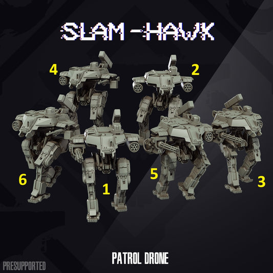 Slam Hawk