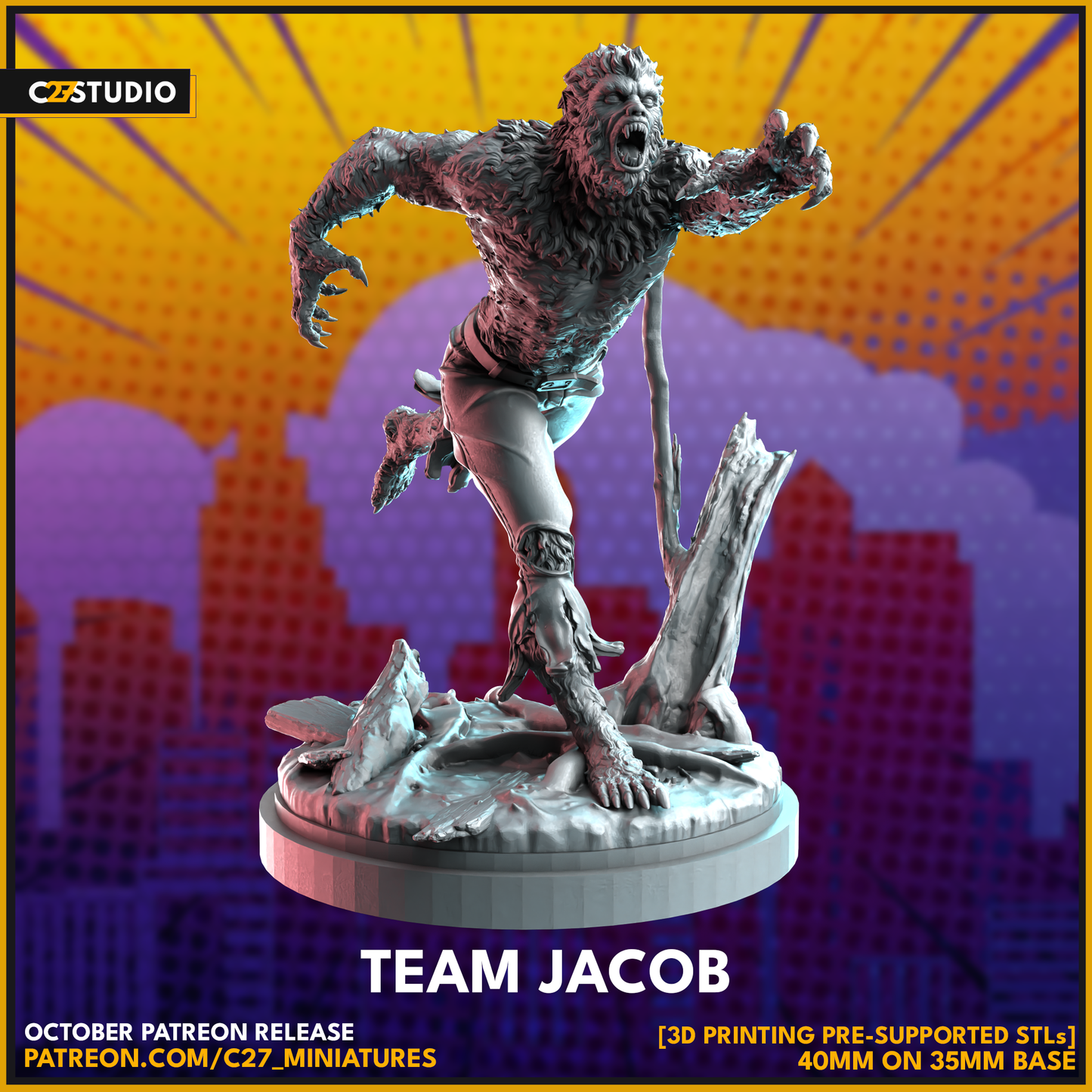 Team Jacob