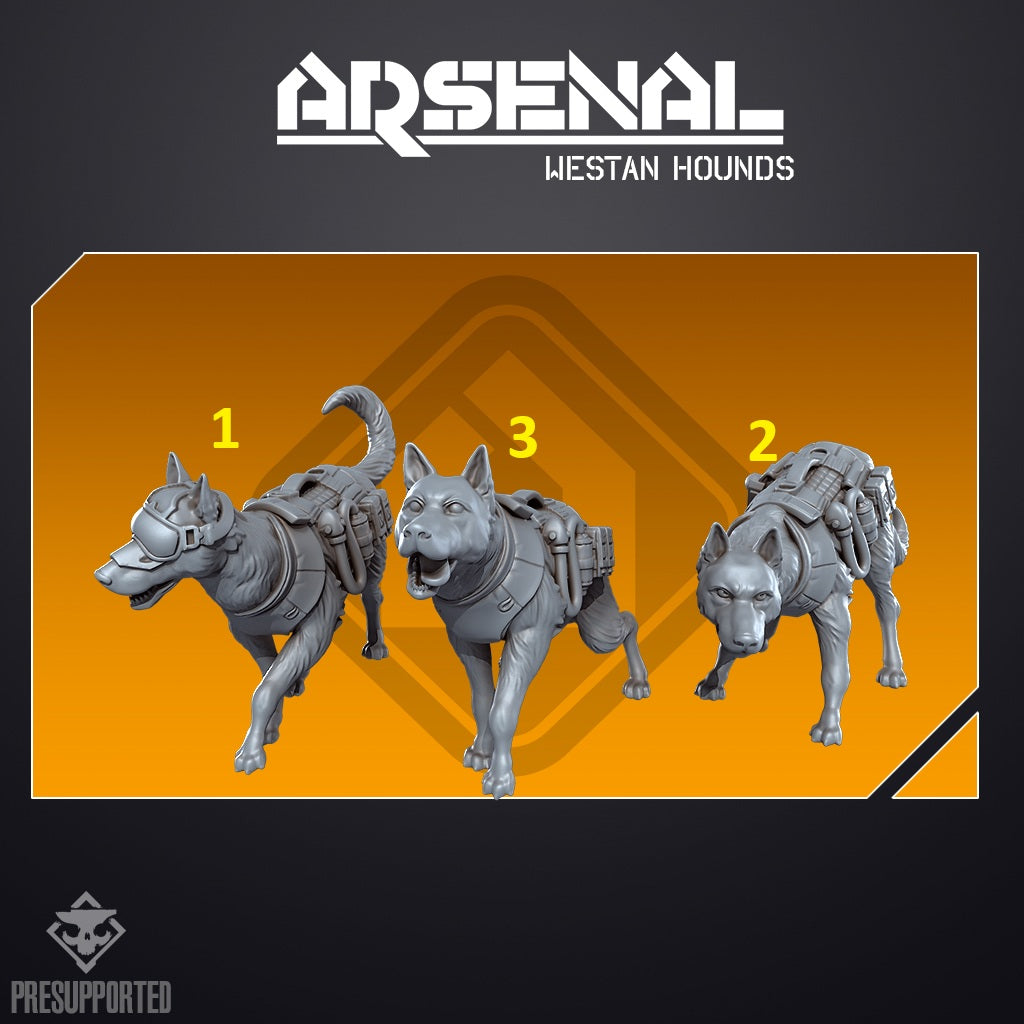 Arsenal Westam Hounds