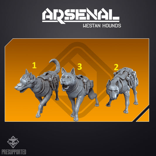 Arsenal Westam Hounds