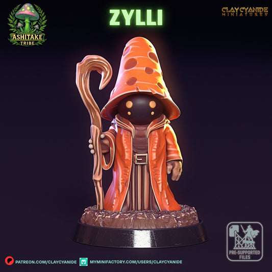 Zylli
