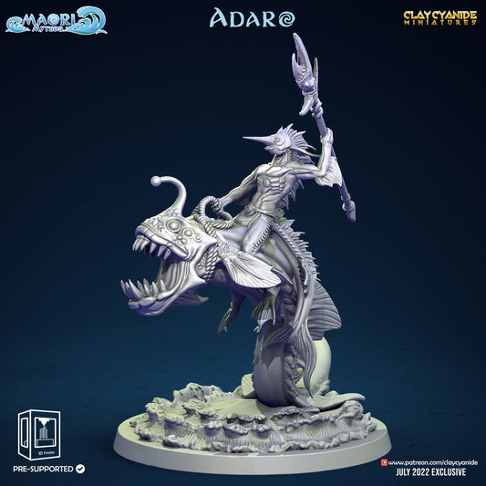 Adaro (5 models)