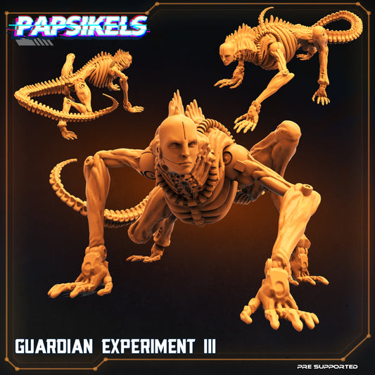 Guardian Experiment (Version 3 y 4)