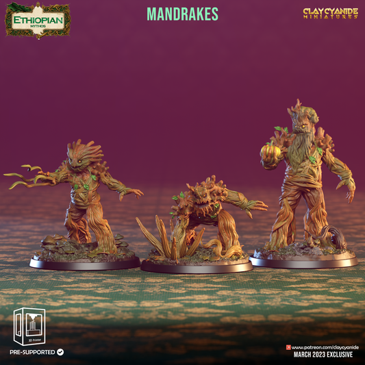 Mandrakes