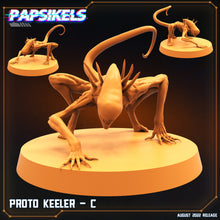 Cargar imagen en el visor de la galería, Proto Keeler (8 modelos)
