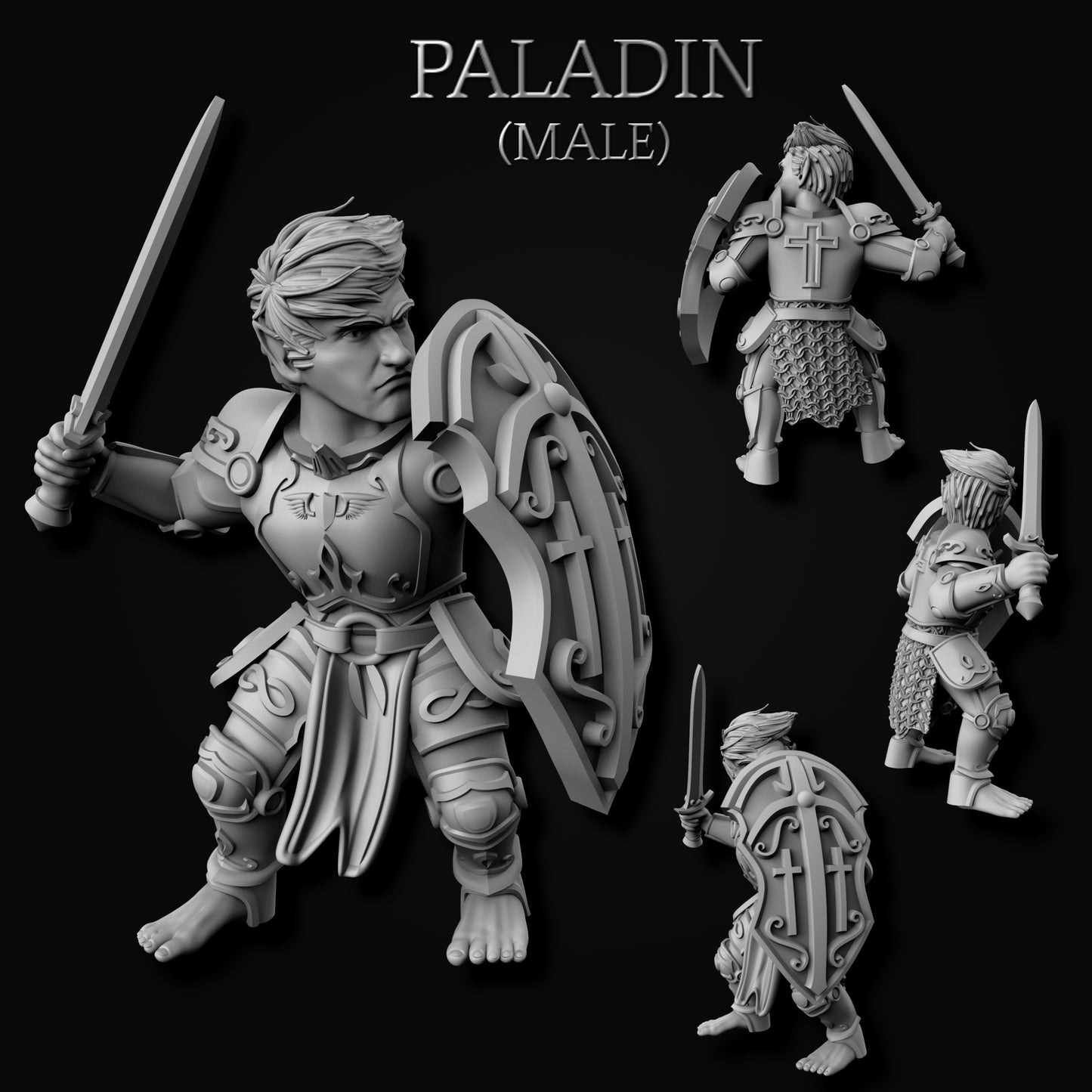 Paladin