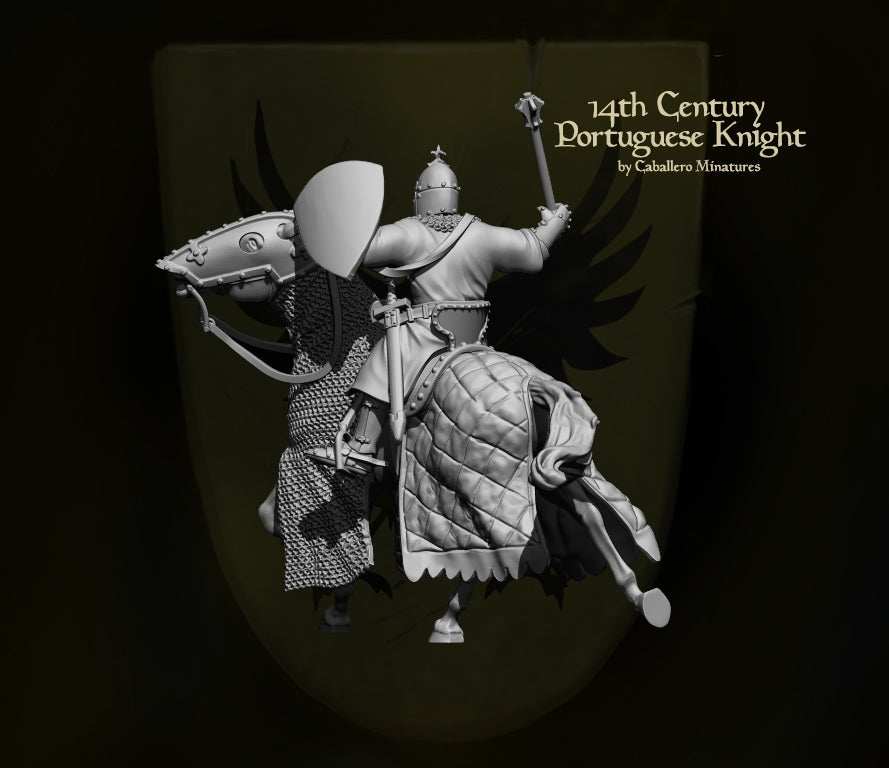 14th century portuguese knight