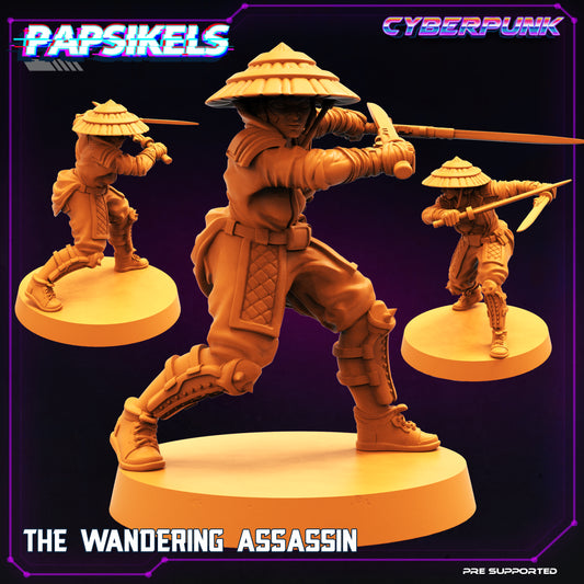 The Wandering Assassin