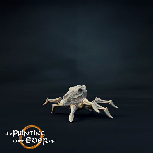 Horse Skull Spider