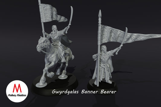Gwyrdgalas Banner Bearer